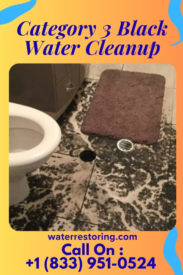 Category 3 Black Water Cleanup in Humboldt, SD