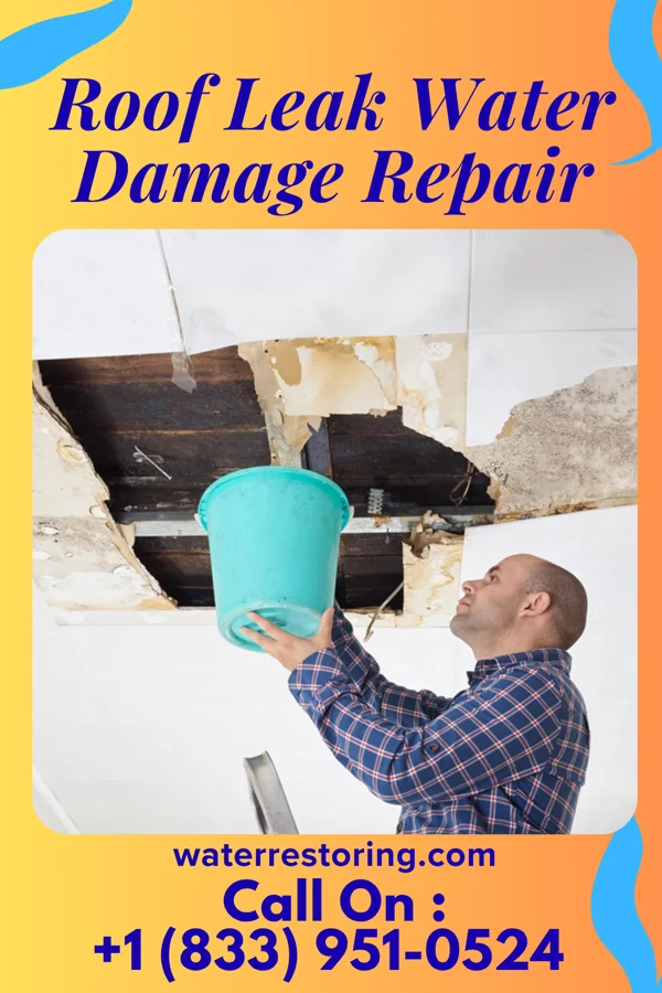 Roof Leak Water Damage Repair in Humboldt, SD