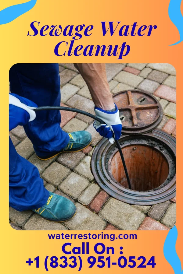 Sewage Water Cleanup in Humboldt, SD